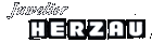 Juwelier Herzau